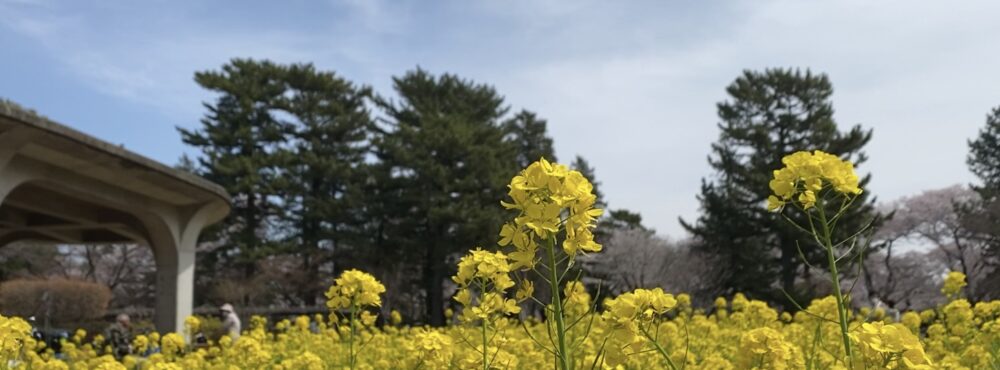 石田 国大