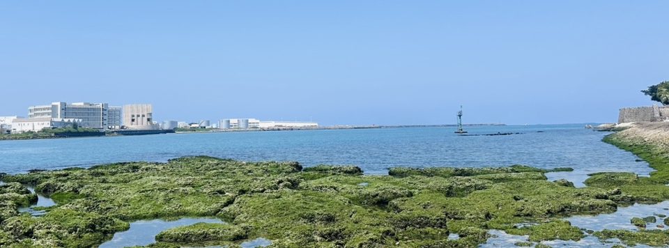 WAC40026700